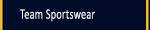 Team sportswear manufacturing supplies